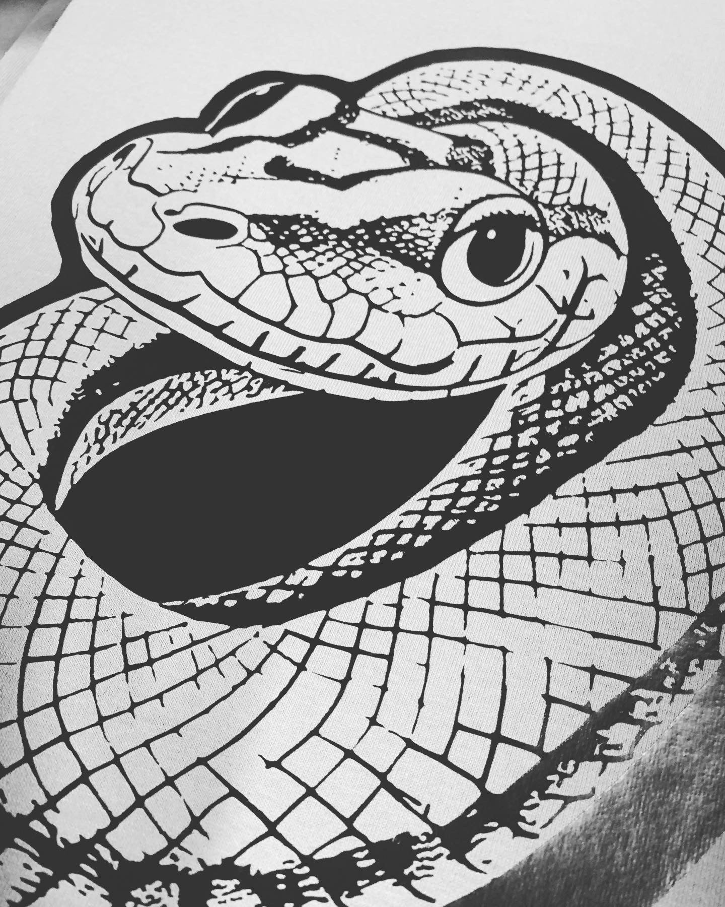 Intricate Snake