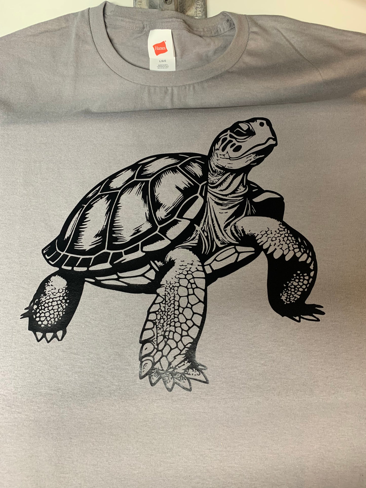 Intricate tortoise