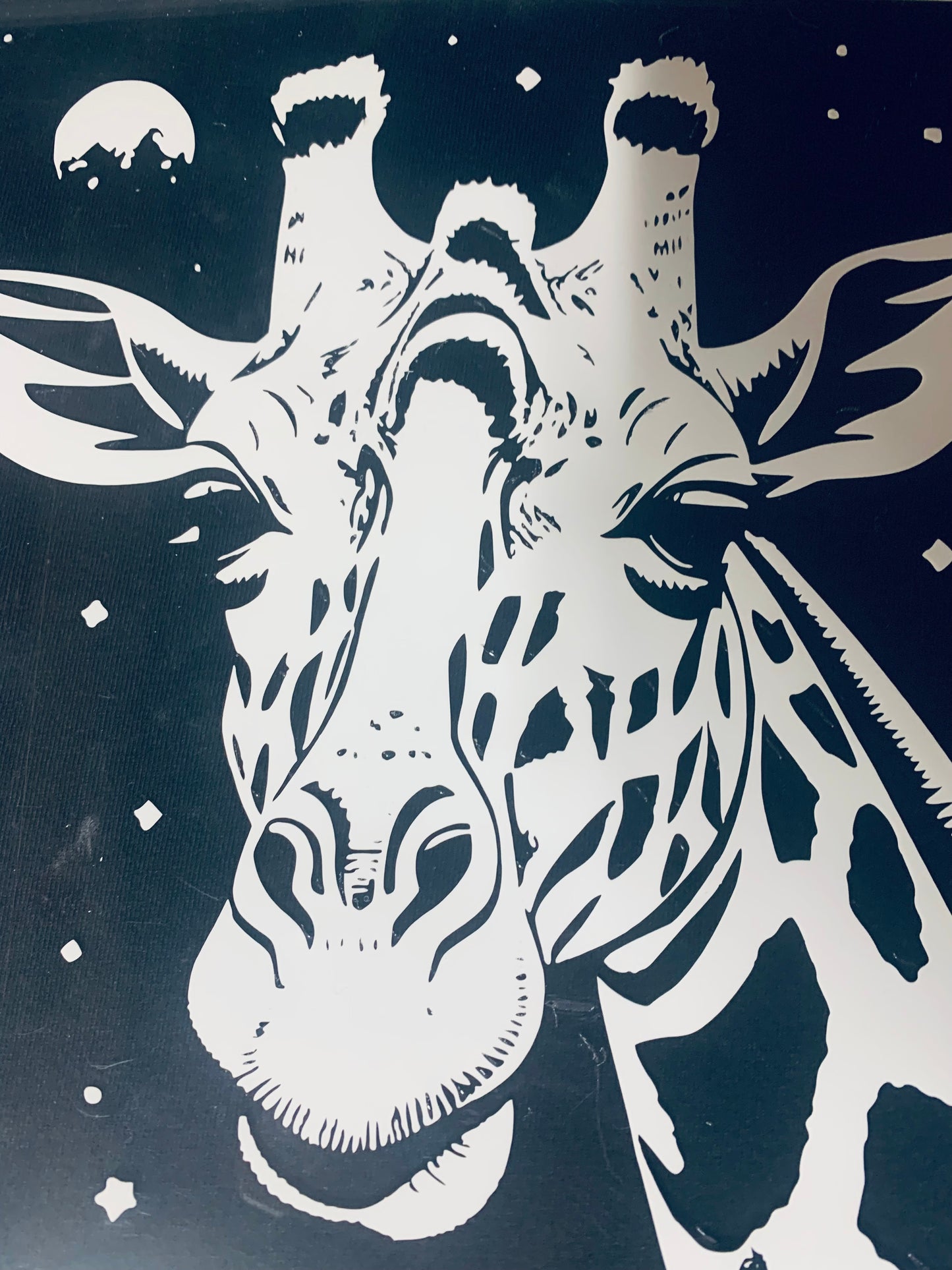 Giraffe in space